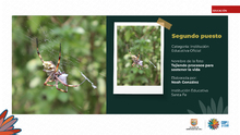 Fueron premiados los talentos estudiantiles que fotografiaron la  biodiversidad de Cali