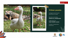 Fueron premiados los talentos estudiantiles que fotografiaron la  biodiversidad de Cali