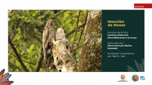 Fueron premiados los talentos estudiantiles que fotografiaron la  biodiversidad de Cali