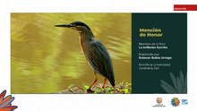 Fueron premiados los talentos estudiantiles que fotografiaron la  biodiversidad de Cali