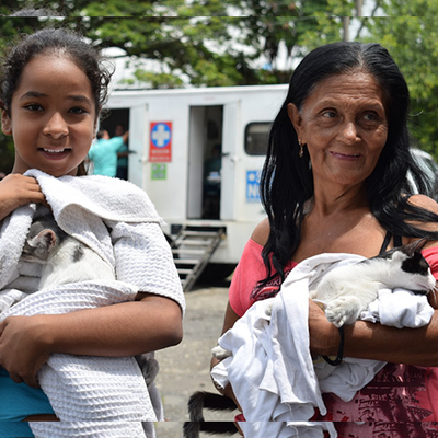 El proyecto Plan Jarill&oacute;n celebrar&aacute; el cumplea&ntilde;os de Cali con una &lsquo;Jornada de Salud Interespecies&rsquo;