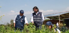 Se contin&uacute;a entregando 26.1 km de oportunidades a la cale&ntilde;idad