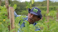 Estrategia de Sostenibilidad y Gobernanza: Guardianes del Jarill&oacute;n