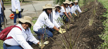 Cali referente nacional en estrategias de soberan&iacute;a alimentaria con 783 iniciativas agroecol&oacute;gicas 