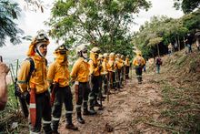 Bomberos de Cali viajan a Chile para solidarizarse con las brigadas que combaten incendios forestales
