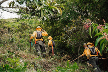 Bomberos de Cali viajan a Chile para solidarizarse con las brigadas que combaten incendios forestales