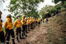 Bomberos de Cali viajan a Chile para solidarizarse con las brigadas que combaten incendios forestales