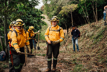Bomberos de Cali viajan a Chile para solidarizarse con las brigadas que combaten incendios forestales