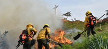 &ldquo;Todos estos incendios son provocados en forma dolosa&rdquo;: Rodrigo Zamorano