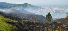 &ldquo;Todos estos incendios son provocados en forma dolosa&rdquo;: Rodrigo Zamorano