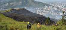 &ldquo;Todos estos incendios son provocados en forma dolosa&rdquo;: Rodrigo Zamorano