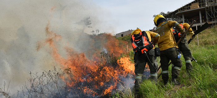 &ldquo;Todos estos incendios son provocados en forma dolosa&rdquo;: Rodrigo Zamorano