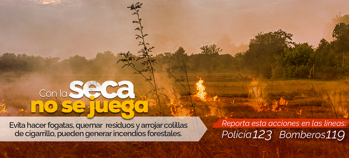 Alcald&iacute;a de Cali present&oacute; la campa&ntilde;a &lsquo;Con la seca no se juega&rsquo;