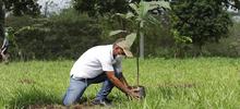 Siembra de plantas, limpieza y &lsquo;parche r&iacute;o&rsquo;, este s&aacute;bado en Pilas del Cabuyal