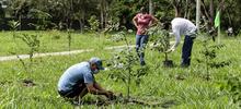 Siembra de plantas, limpieza y &lsquo;parche r&iacute;o&rsquo;, este s&aacute;bado en Pilas del Cabuyal