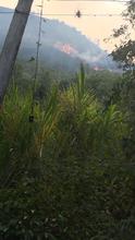 Acciones interinstitucionales permitieron controlar dos incendios forestales el domingo