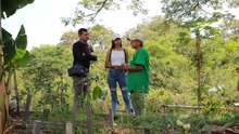 El Jarill&oacute;n de Cali un tema universitario