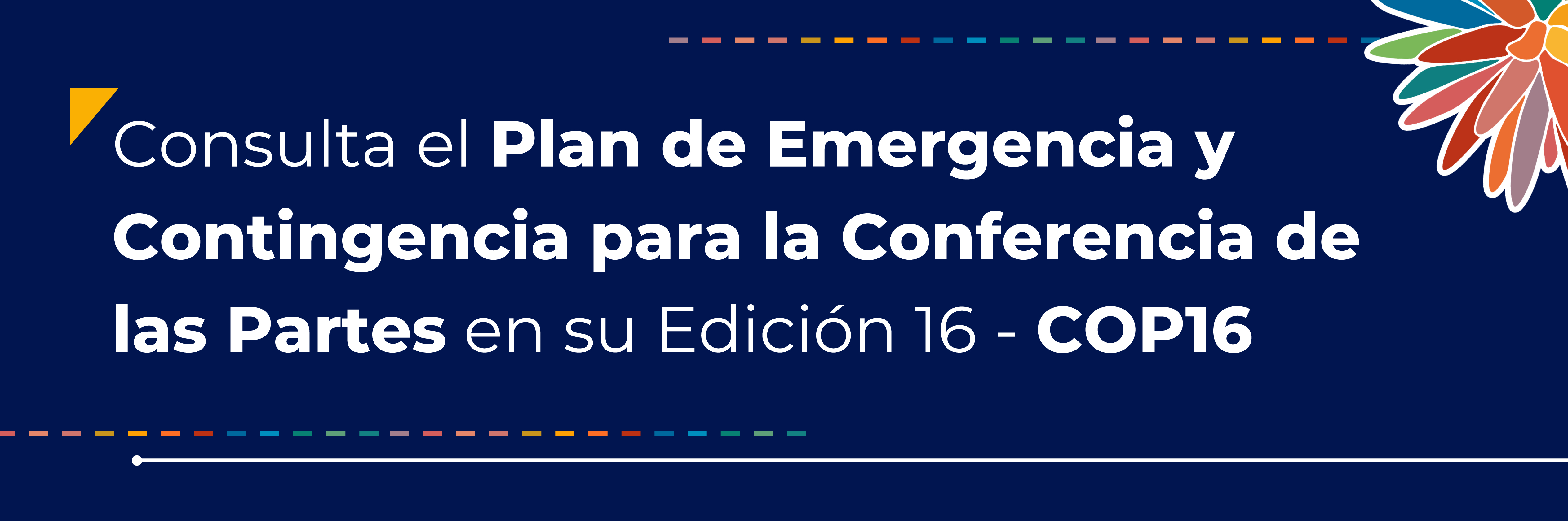 Listo Plan de Emergencia COP 16