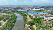 M&aacute;s de veintinueve mil metros cuadrados del jarill&oacute;n del r&iacute;o Cauca han sido recuperados ambientalmente