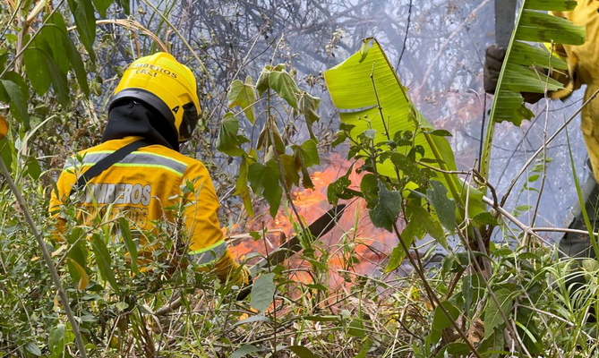 Por inconsciencia ciudadana, nuevamente se presenta incendio forestal en  Pichind&eacute;