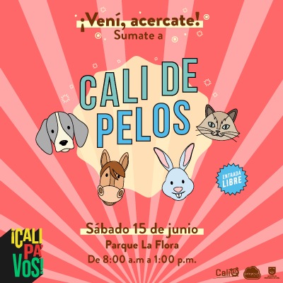 Cali de pelos