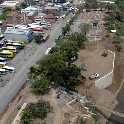 M&aacute;s de 40 especies de &aacute;rboles adornar&aacute;n el corredor verde de Parque Pac&iacute;fico