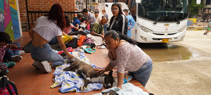 Esterilizan animales de compa&ntilde;&iacute;a durante jornada de servicios institucionales en Brisas de Mayo