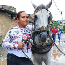 Alcald&iacute;a de Cali realiza jornada de pre-adopci&oacute;n equina en el barrio Alfonso Bonilla Arag&oacute;n
