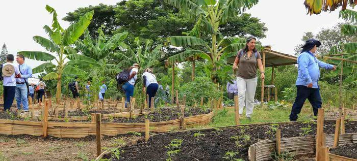 Cooperaci&oacute;n internacional, acci&oacute;n clave en la consolidaci&oacute;n de un sistema distrital de huertas