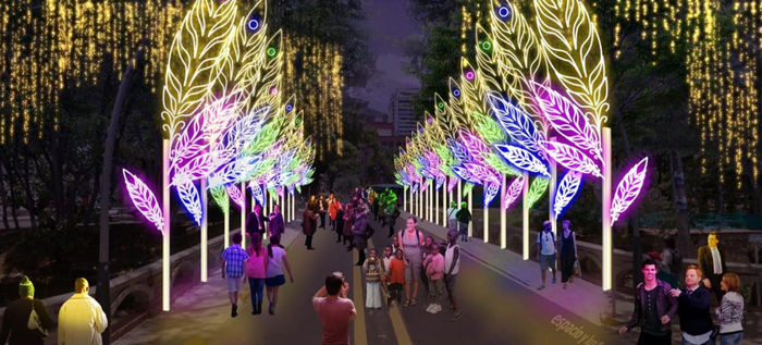 Cali enciende sus luces para exaltar la biodiversidad