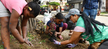 520 j&oacute;venes empezaron dar muestras de transformaci&oacute;n social gracias a &lsquo;Cali Incluyente&rsquo;