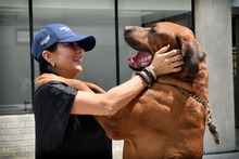 Centro de Bienestar Animal recibi&oacute; donaci&oacute;n de insumos para el beneficio de los seres sintientes