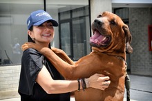 Centro de Bienestar Animal recibi&oacute; donaci&oacute;n de insumos para el beneficio de los seres sintientes