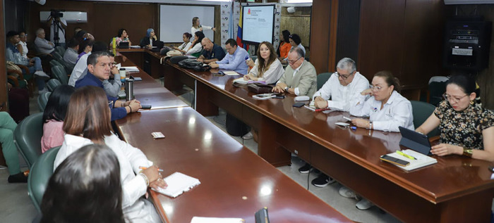 Artes populares y protecci&oacute;n de galer&iacute;a Santa Elena, temas centrales en reuni&oacute;n de gabinete