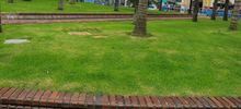 Cale&ntilde;os disfrutar&aacute;n de una Plaza de Cayzedo renovada 