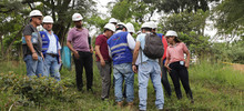 Empiezan a ser visibles los senderos de Cristo Rey 