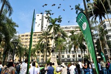 &iexcl;Mir&aacute; ve, ya podemos encontrarnos de nuevo en la Plaza de Cayzedo!