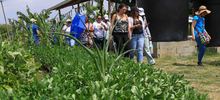 Huertas comunitarias recibieron visita &lsquo;en familia&rsquo; del equipo de Gobierno 