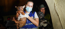 Allanan vivienda para rescatar animales v&iacute;ctimas de maltrato y abandono