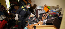 Allanan vivienda para rescatar animales v&iacute;ctimas de maltrato y abandono
