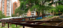 Proyecto Cristo Rey mantendr&aacute; el bosque seco tropical de Cali