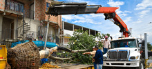 Linda estrena hogar en el Bulevar de Oriente