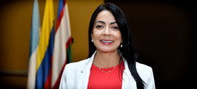 Gobierno Distrital de Cali eval&uacute;a nuevas medidas para controlar brote de dengue