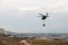 Alentadora jornada para sofocar incendio forestal