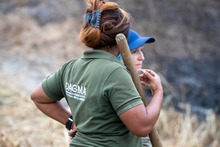 Alentadora jornada para sofocar incendio forestal