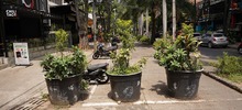 Alcald&iacute;a reeval&uacute;a retorno del paso vehicular en el Parque del Perro