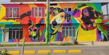 Cali premi&oacute; a los mejores murales del Bulevar de Oriente