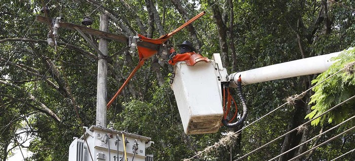 Trabajos de reparaci&oacute;n e intervenci&oacute;n en redes de acueducto y energ&iacute;a para el &uacute;ltimo d&iacute;a de febrero