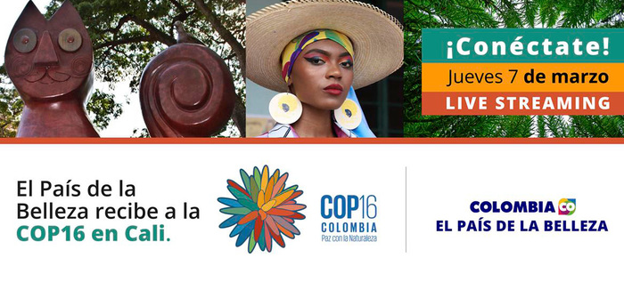 Este jueves, Vicepresidenta relanza COP16 en Cali
