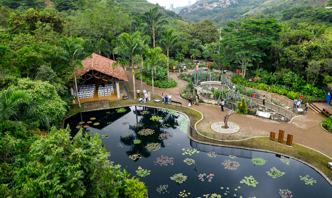 El Jard&iacute;n Bot&aacute;nico de Cali: Un oasis de biodiversidad esencial para la COP16